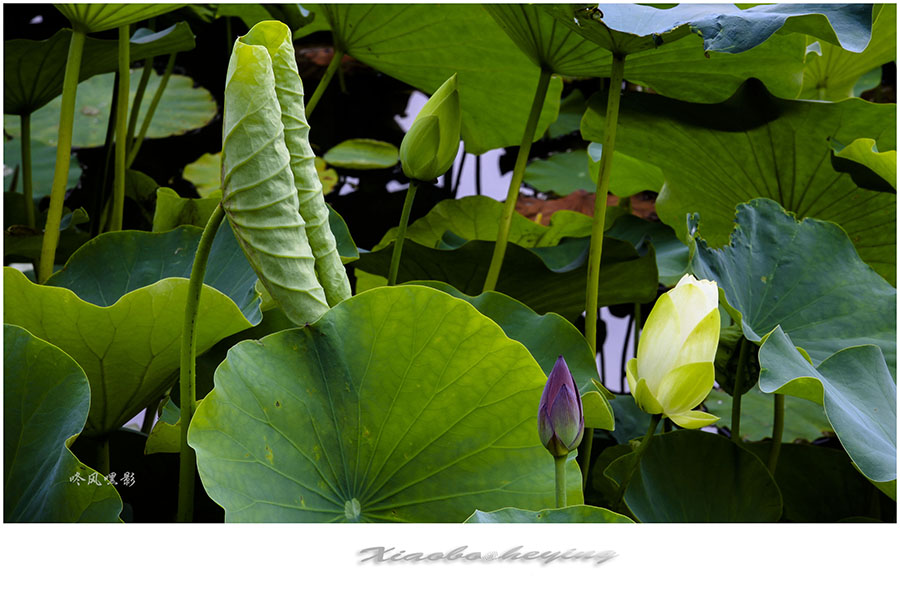 20130703_1614副本 2.jpg