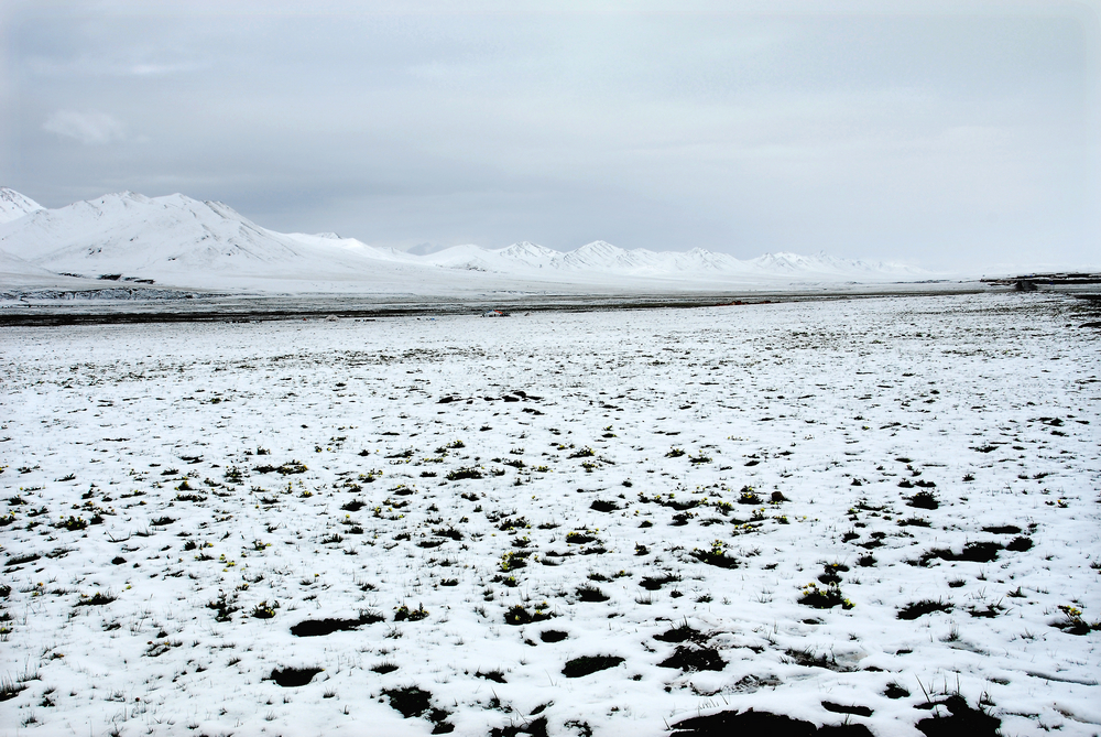 DSC_0360.JPG