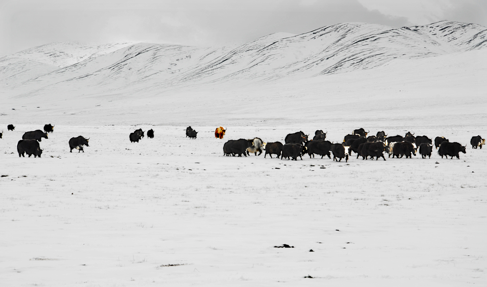 DSC_0367.JPG
