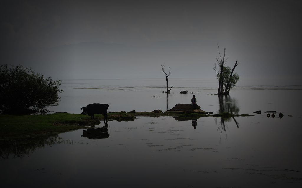 IMGP0945_副本.jpg