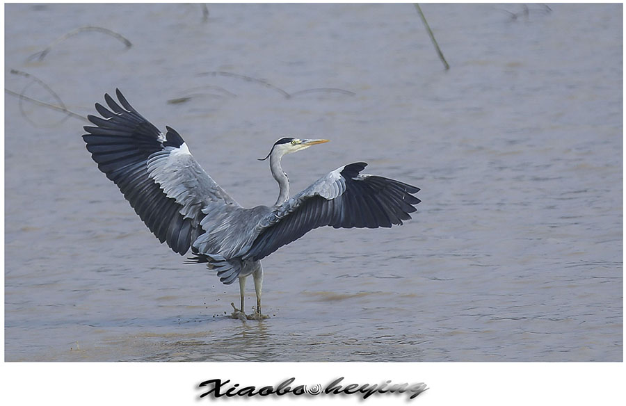 RG4A7975副本副本 3.jpg