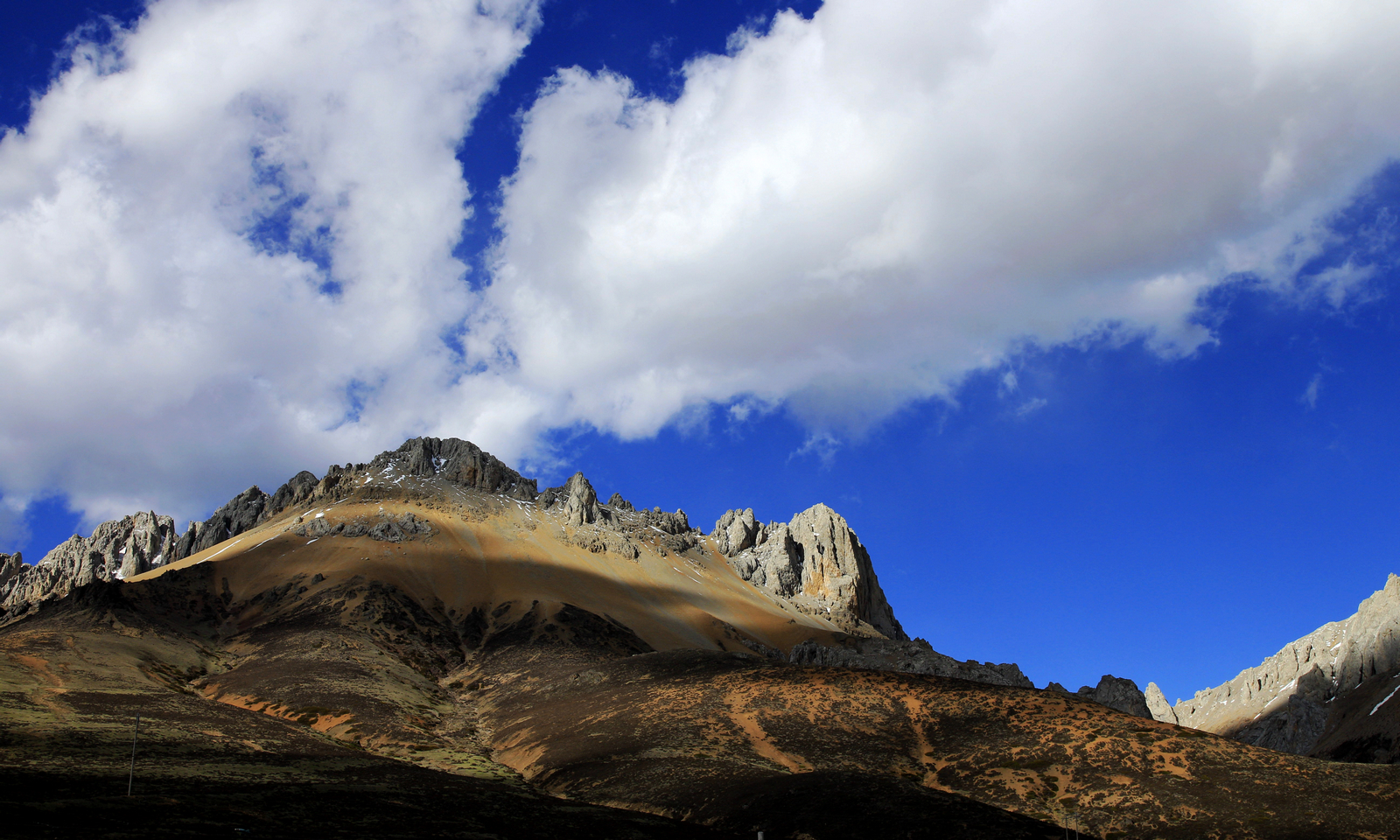 _MG_0281.jpg