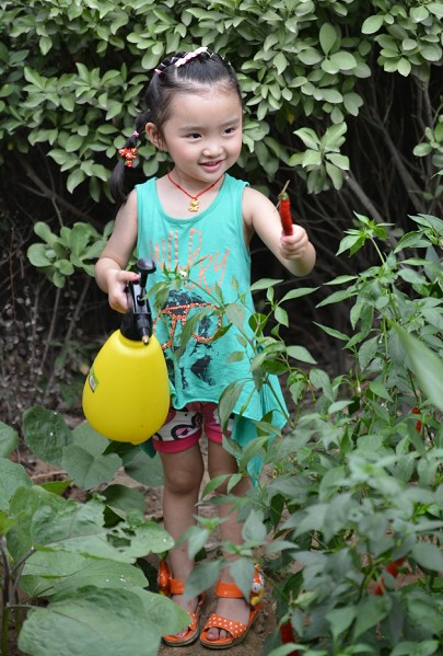 QQ截图20130711183501.jpg