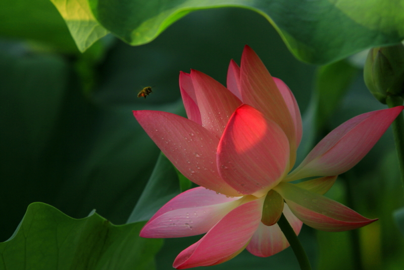 IMG_8560 拷贝.JPG