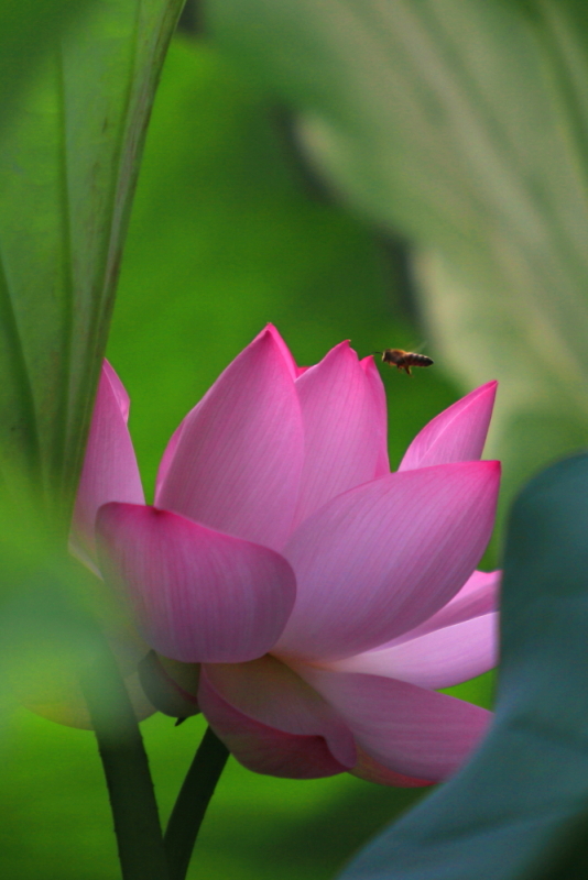 IMG_8552 拷贝.JPG