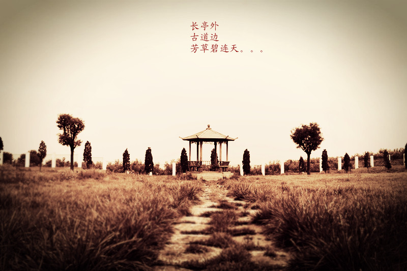 IMG_3941_副本.jpg
