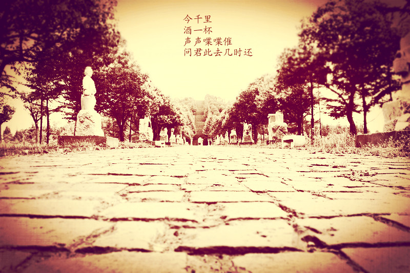 IMG_3943_副本.jpg