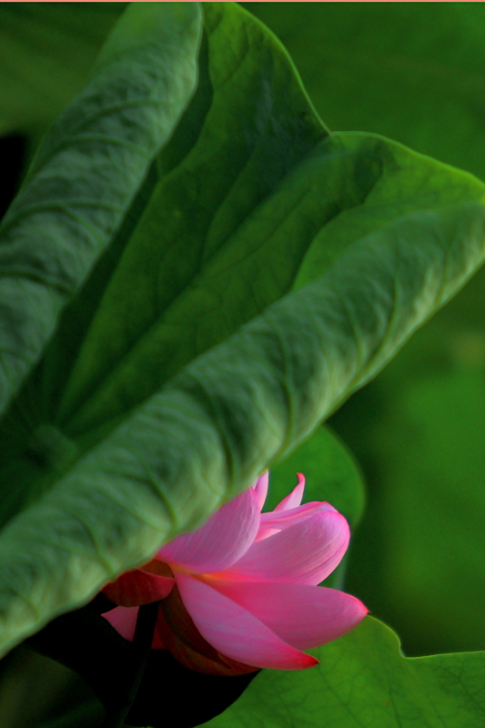 IMG_00401 拷贝.JPG