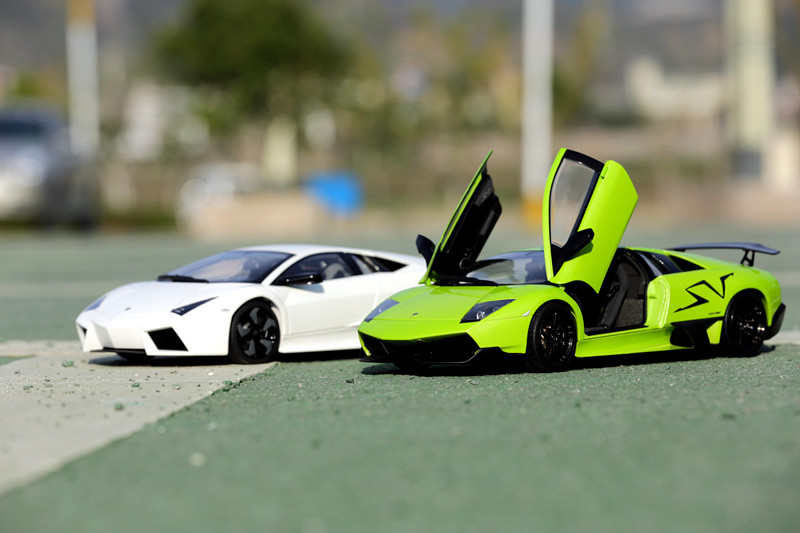 a20488690_s[1].jpg