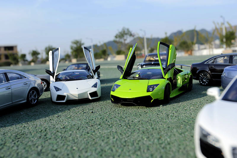 a20488693_s[1].jpg