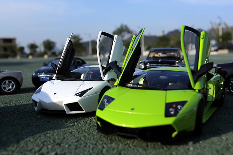 a20488697_s[1].jpg