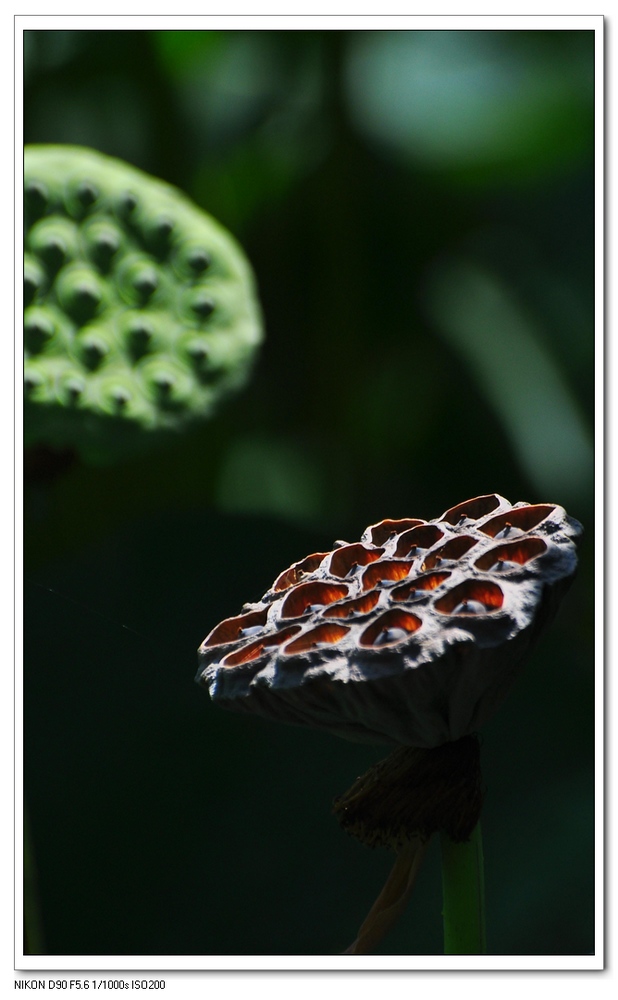 nEO_IMG_桌面照片 10319副本.jpg