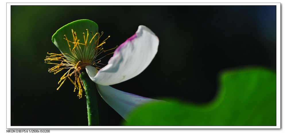 nEO_IMG_桌面照片 10238副本.jpg