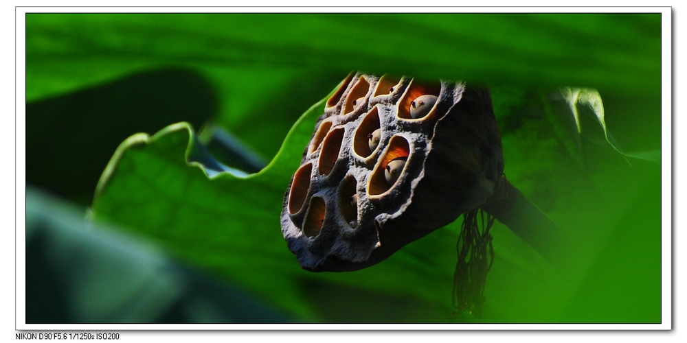 nEO_IMG_桌面照片 10240副本.jpg