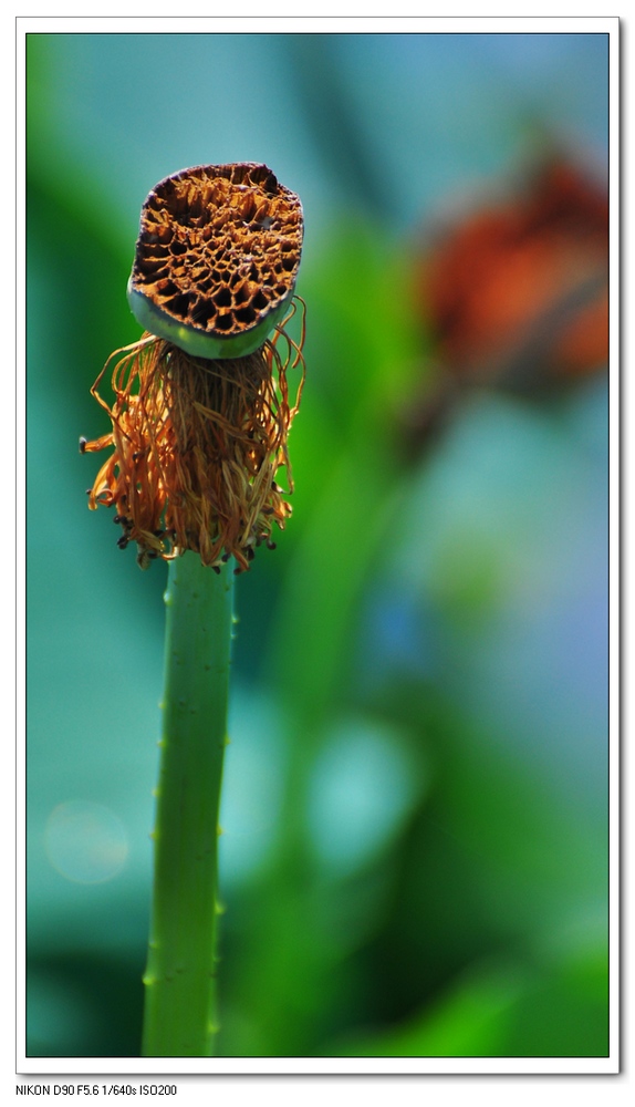 nEO_IMG_桌面照片 10244副本.jpg