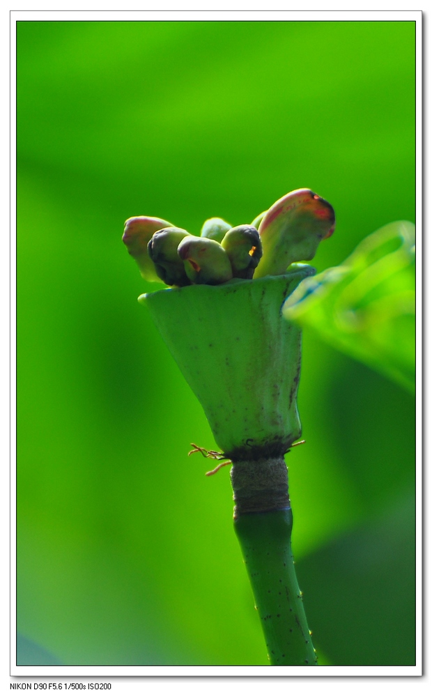 nEO_IMG_桌面照片 10253副本.jpg