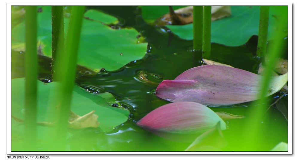 nEO_IMG_桌面照片 10264副本.jpg