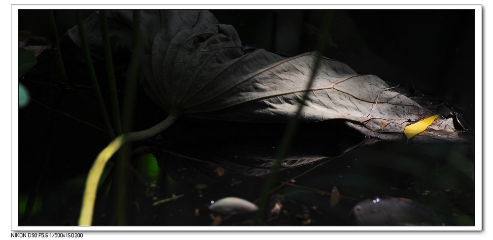 nEO_IMG_桌面照片 10294副本.jpg