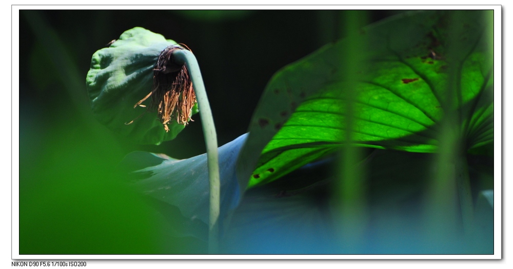 nEO_IMG_桌面照片 10295副本.jpg