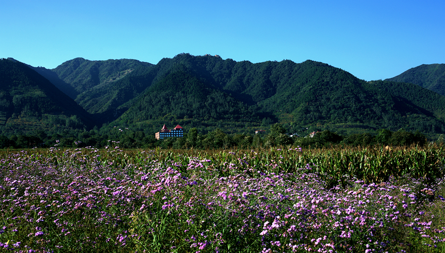 复件 _DSC4957_副本.jpg
