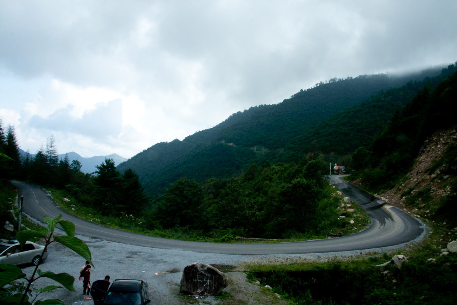_MG_5595-1.jpg