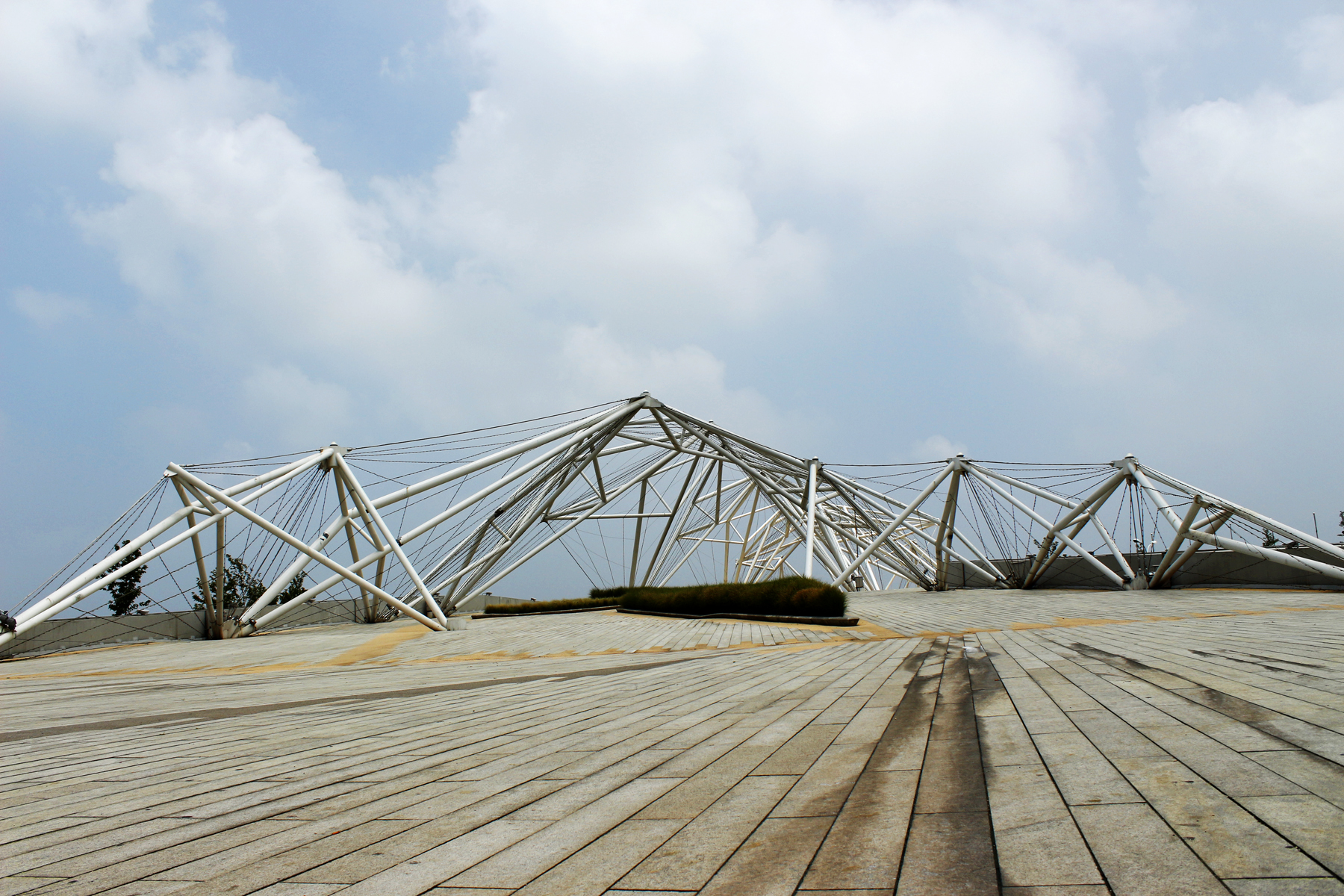 _MG_3695.jpg