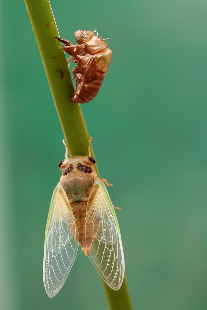 调整大小 旋转 IMG_8837k.jpg