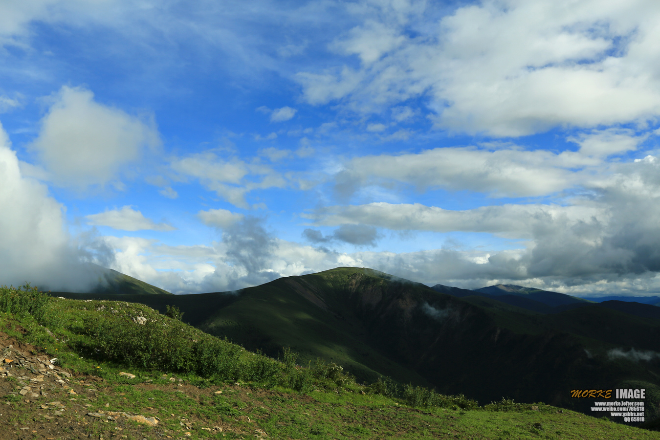 1G8A6024a.jpg