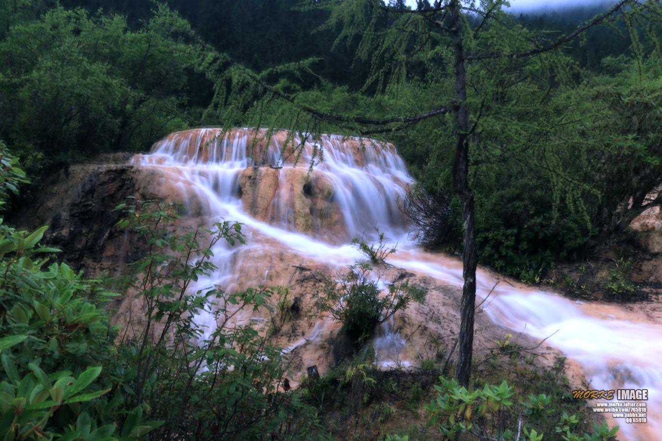 1G8A5934a.jpg
