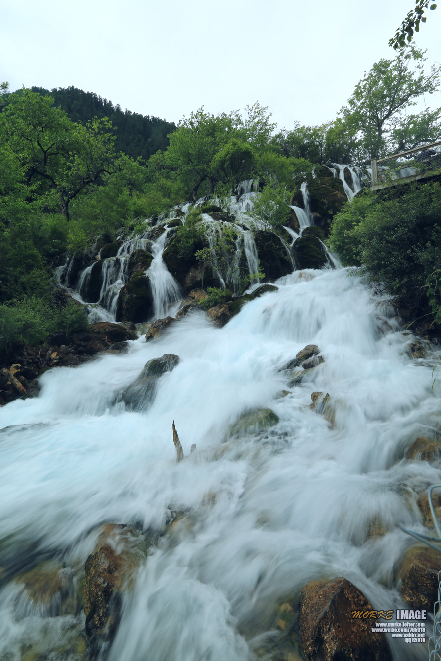 1G8A6494a.jpg