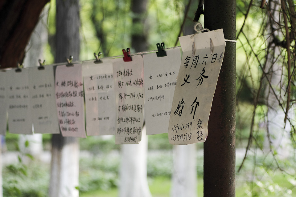 IMGP9553.jpg