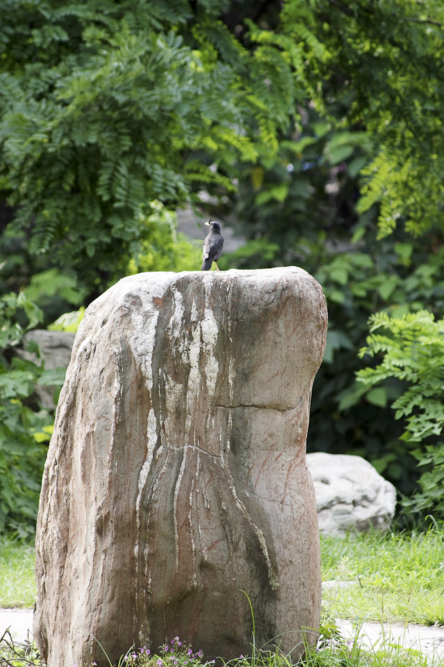 IMGP9575.jpg