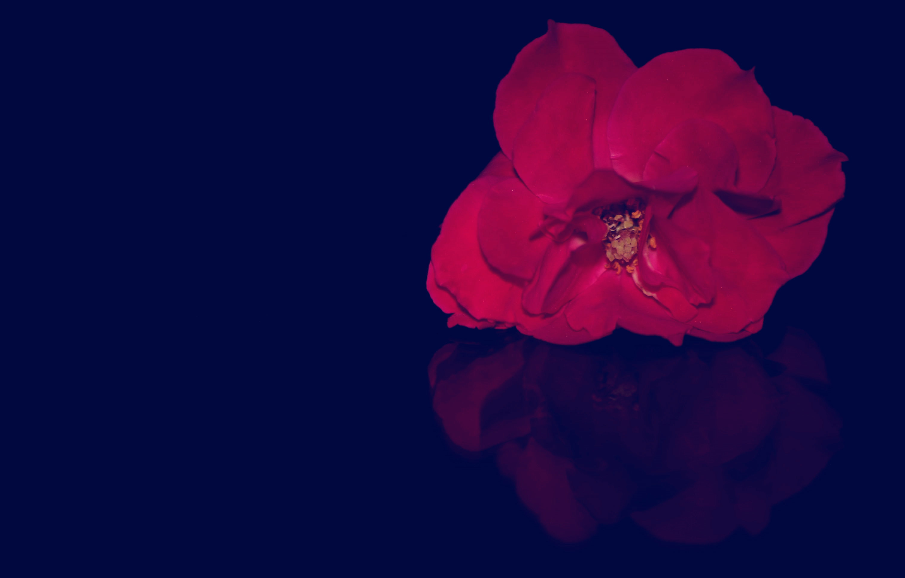 DSCF9780.JPG