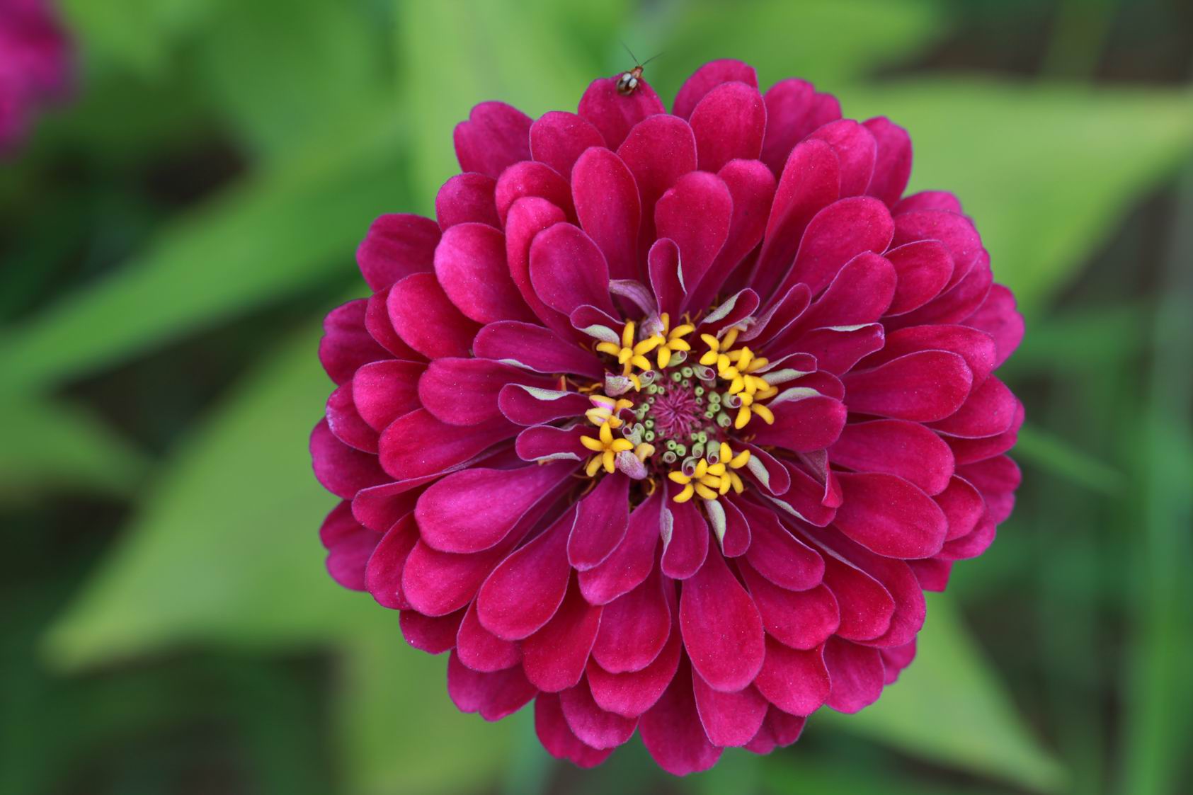 调整大小 IMG_9303.jpg