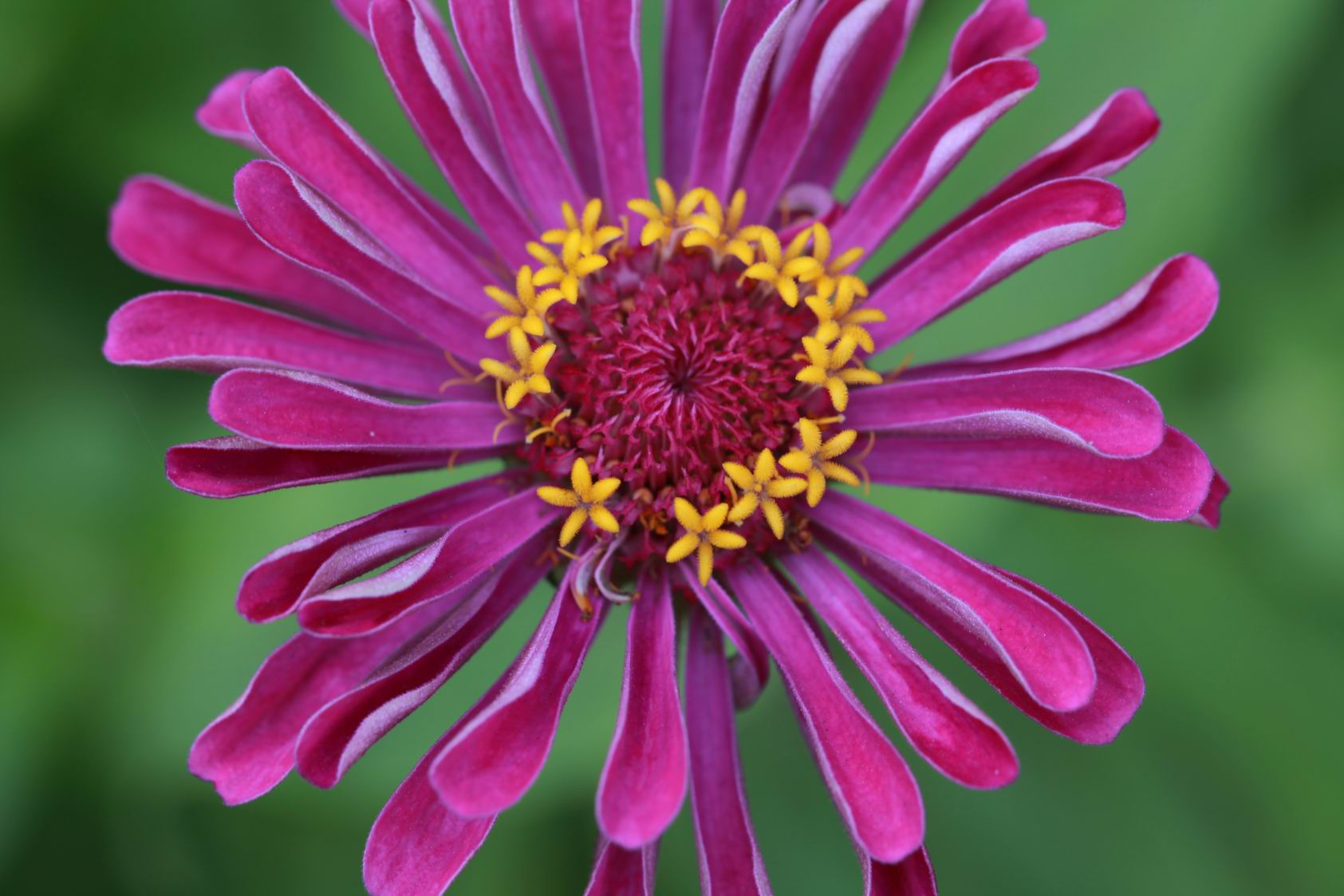 调整大小 IMG_9302.jpg