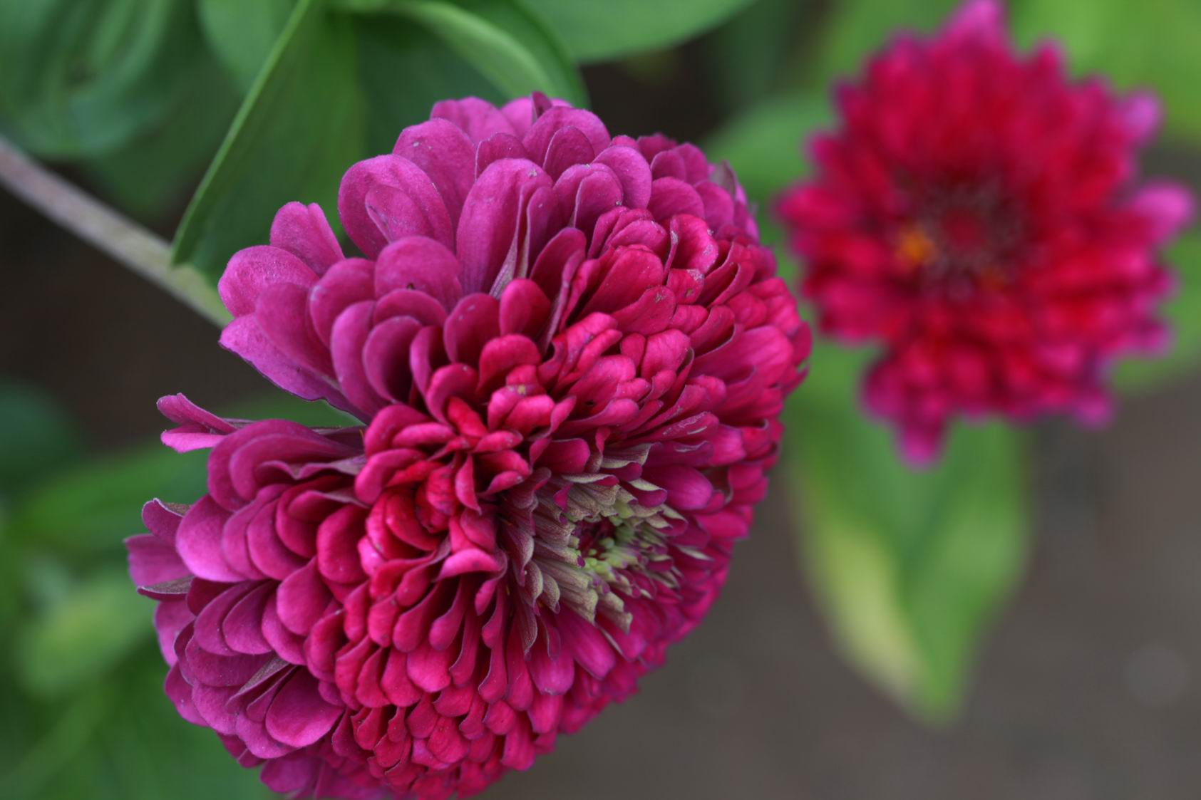 调整大小 IMG_9298.jpg