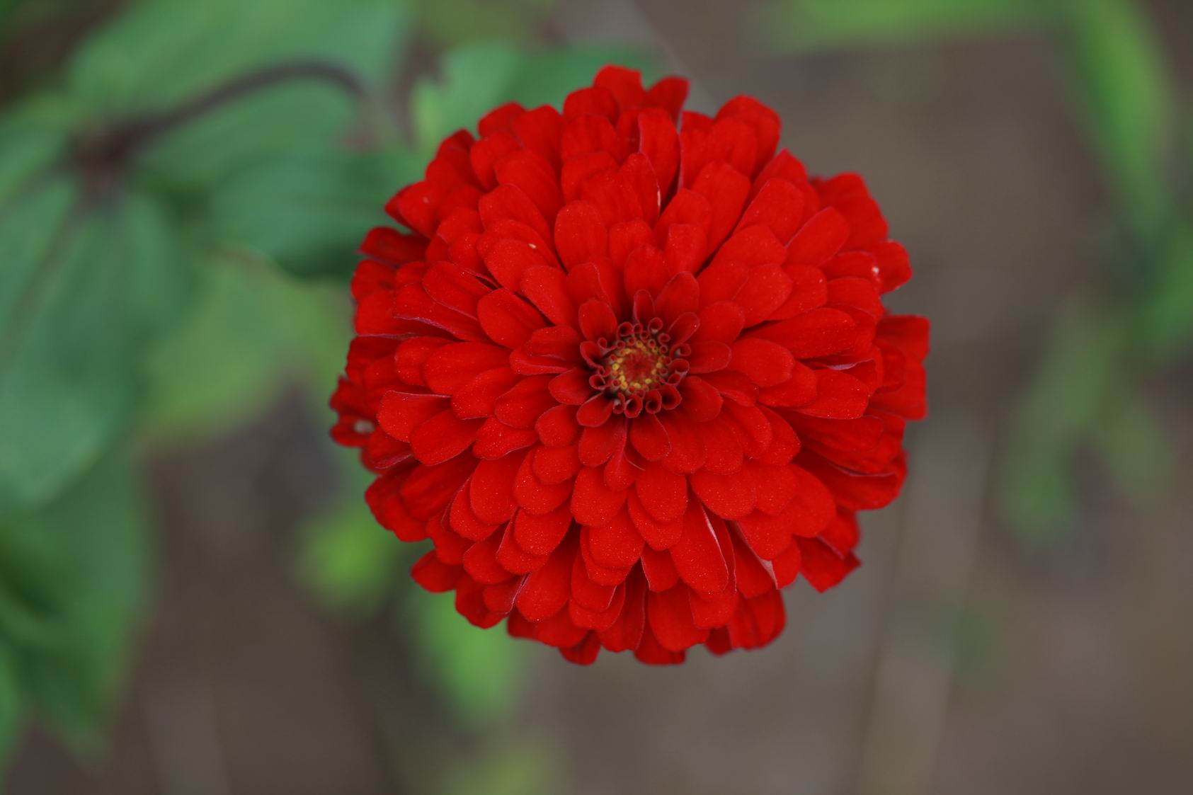 调整大小 IMG_9296.jpg