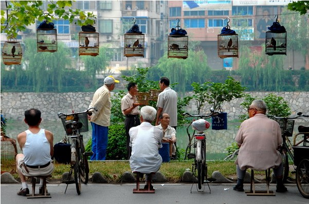 QQ截图20130731145836.jpg