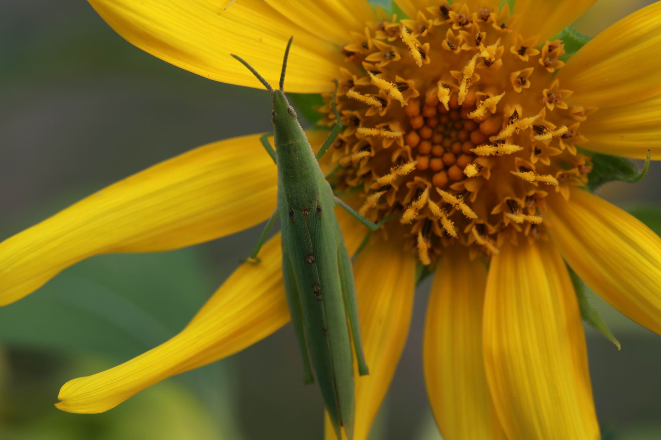 调整大小 IMG_9440.jpg