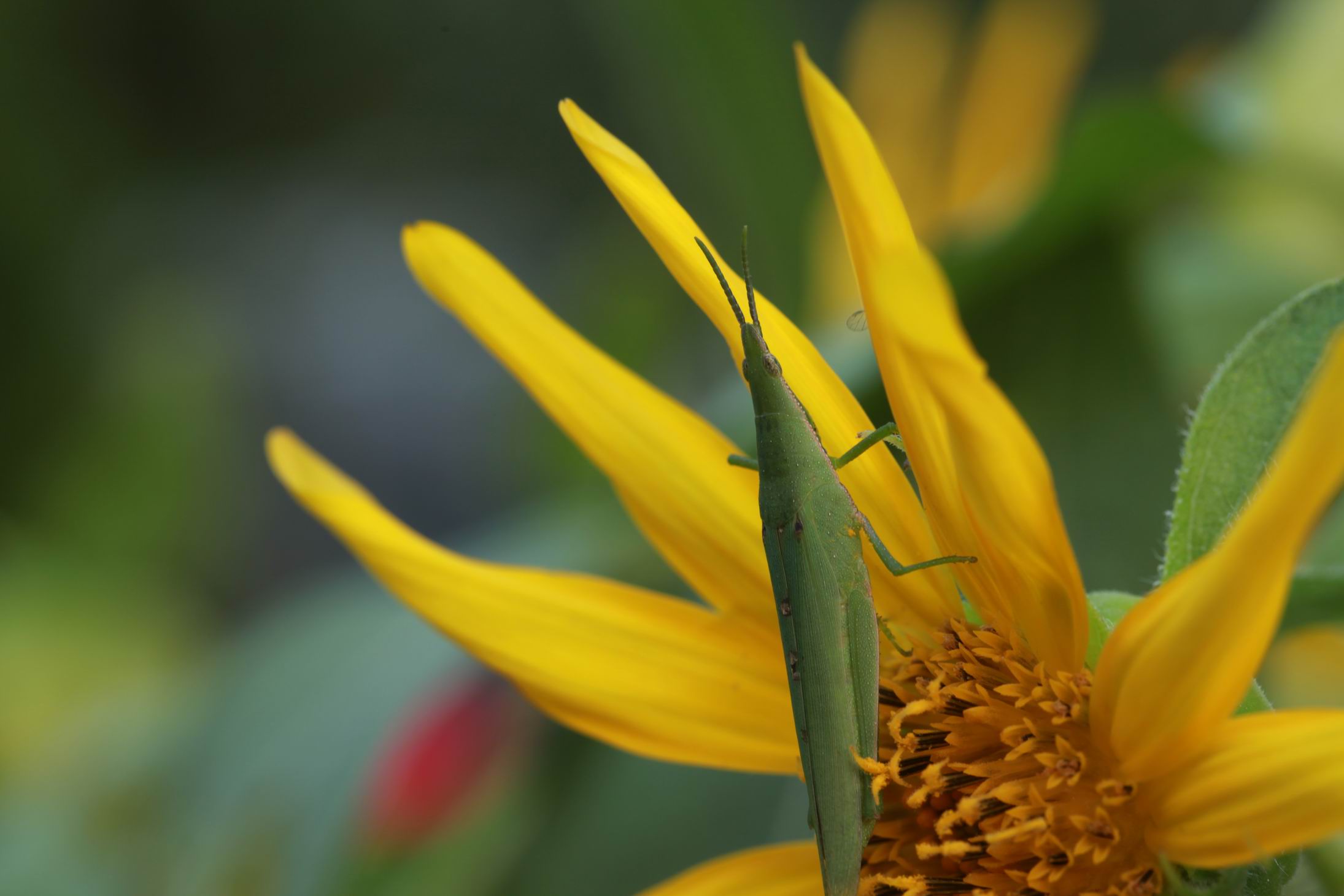 调整大小 IMG_9442.jpg