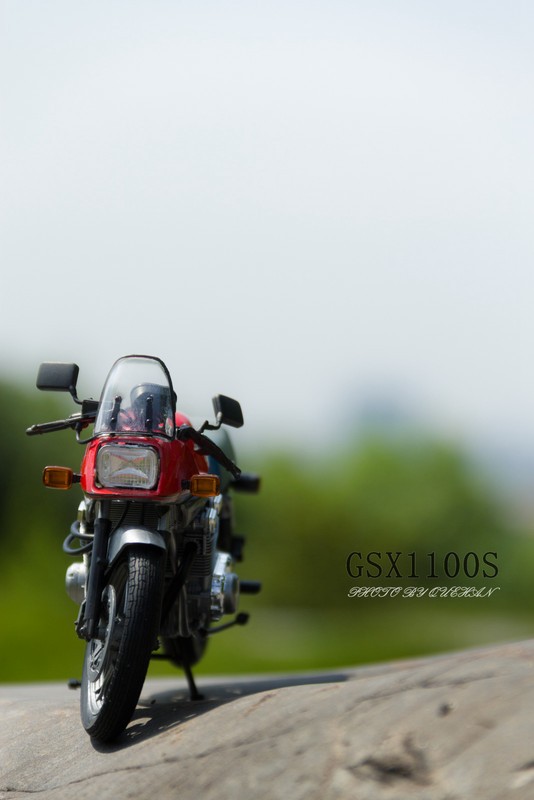 a22665837_s[1].jpg