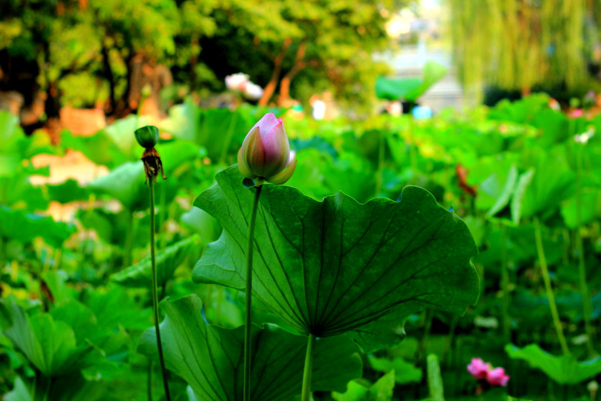 _MG_2928123.JPG