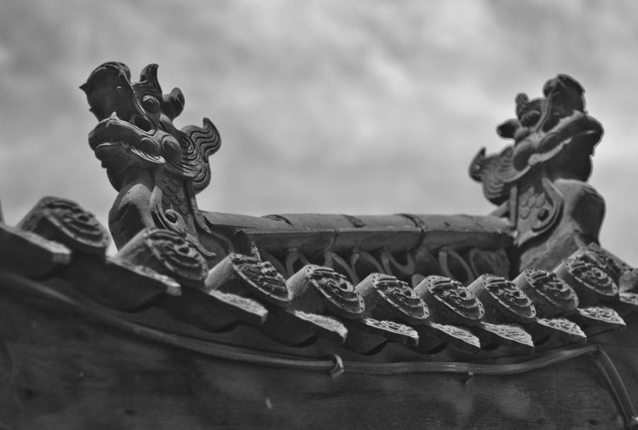 DSC_7375_1.JPG