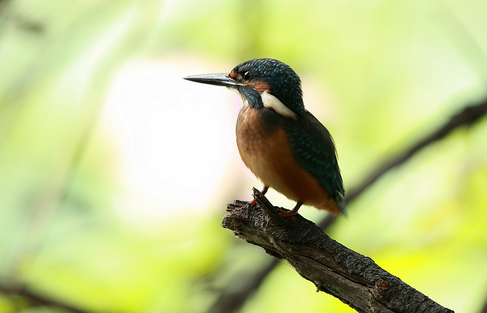 永阳公园S 064BA.jpg