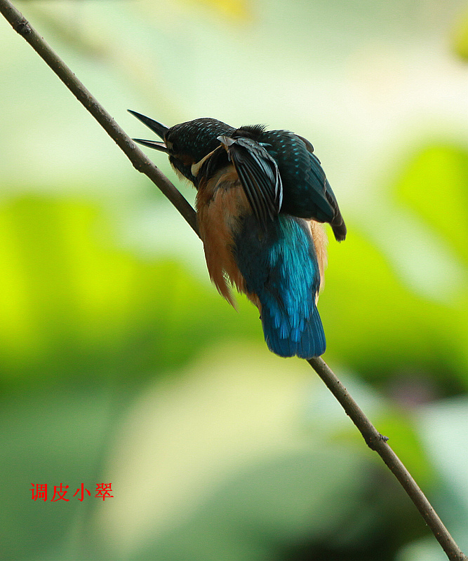 永阳公园S 059B1.jpg