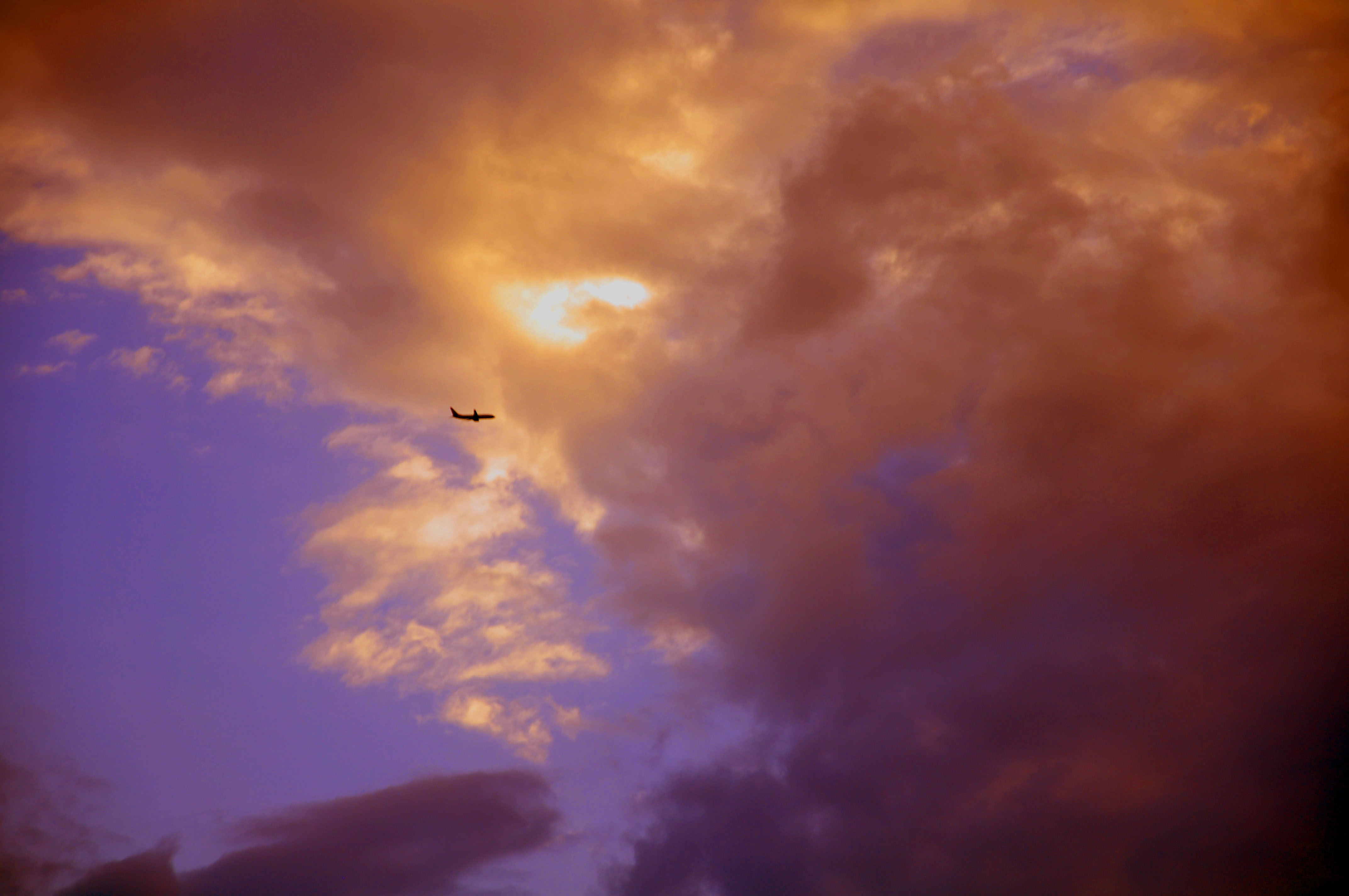 DSC_1051.JPG