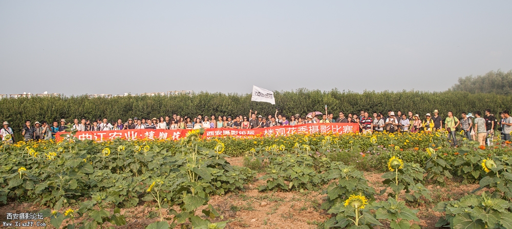 IMG_8607_xiao.jpg