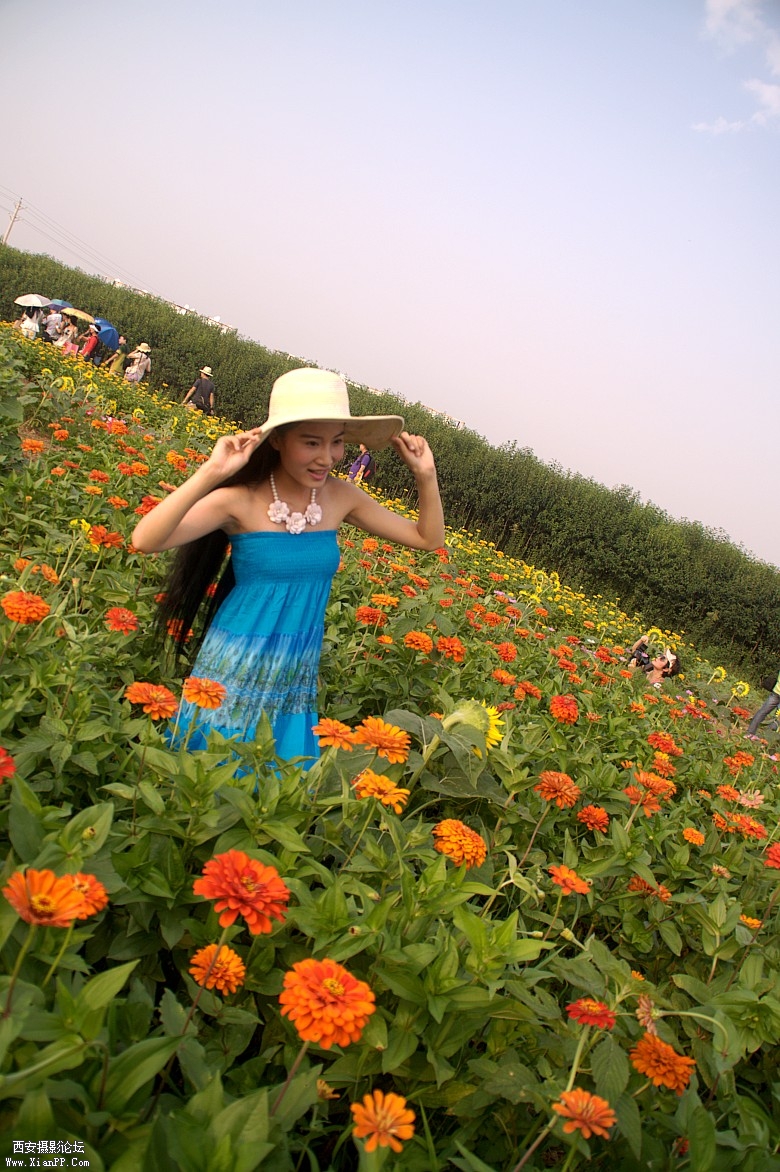DSC_0909_conew1.jpg