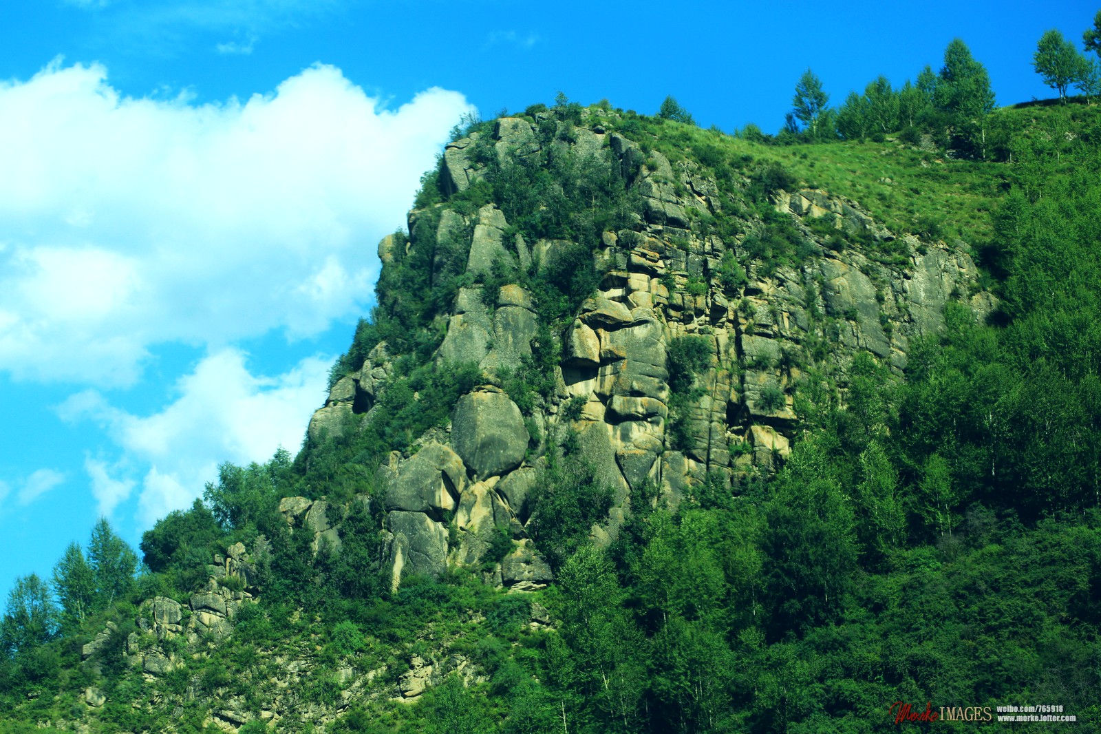 1G8A0333a.jpg