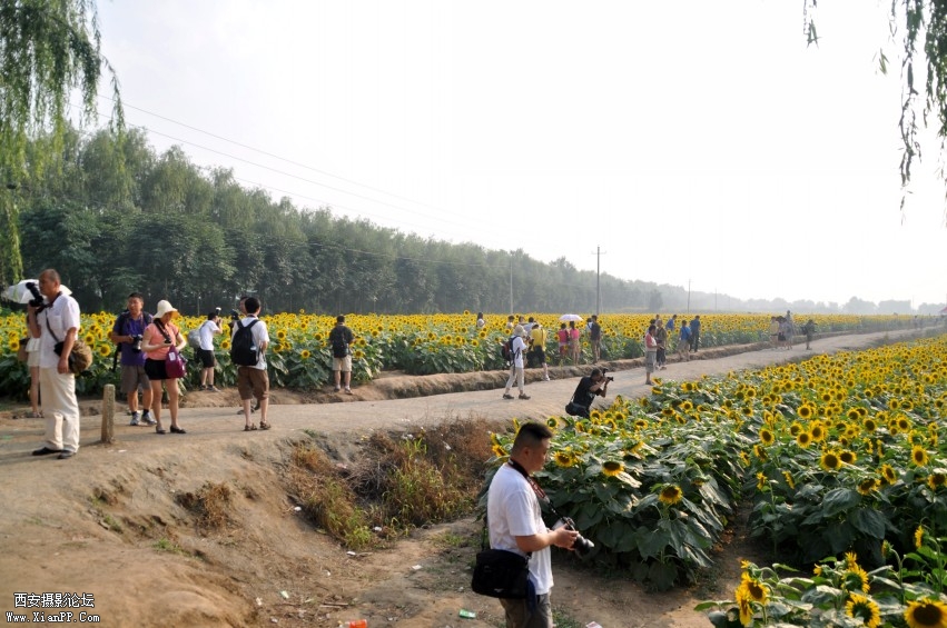 DSC_0863_conew1.jpg